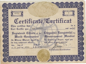 Diploma de cetatean mondial pentru merite deosebite, acordata de Washington DC